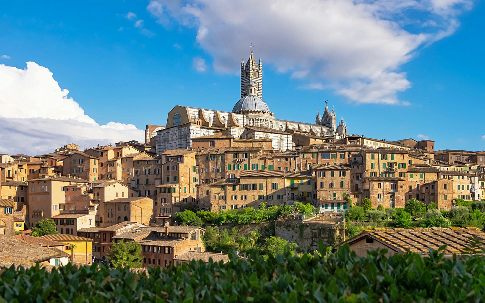 Siena skyline with the Cathedral of Santa Maria Assunta, part of Pisa, Siena, San Gimignano & Chianti tour.