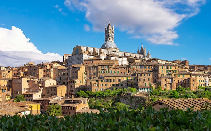 Siena skyline with the Cathedral of Santa Maria Assunta, part of Pisa, Siena, San Gimignano & Chianti tour.