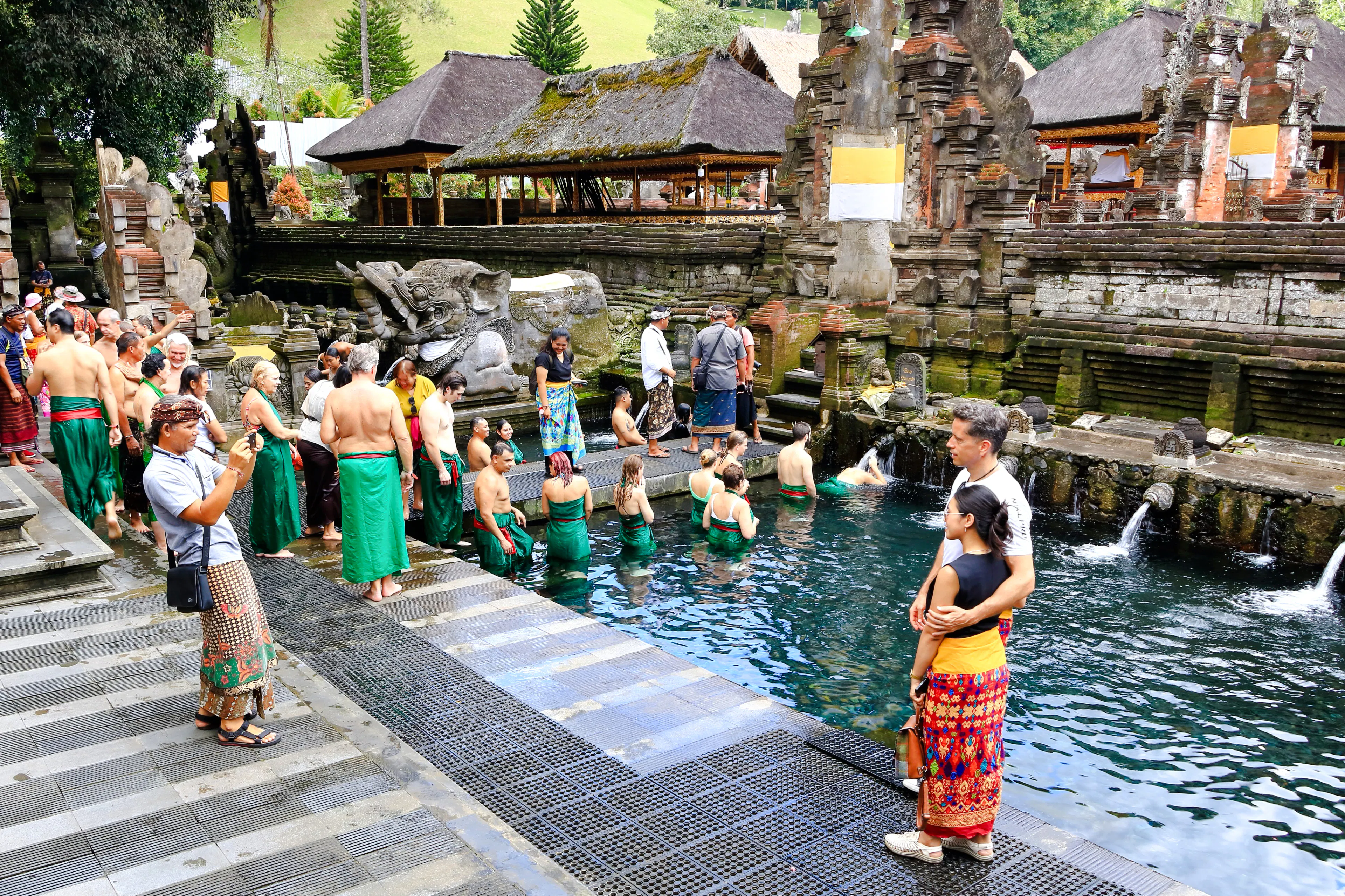 Ubud Highlights Private Tour with Entry Fees Included: Monkey Forest, Tirta Empul, Waterfall & Rice Terrace
