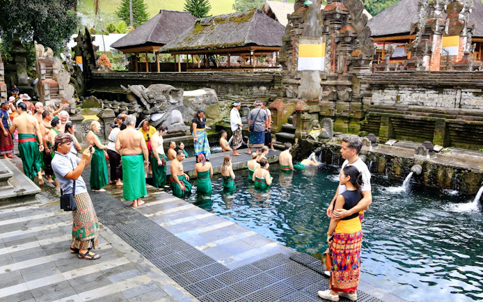 Ubud Highlights Private Tour with Entry Fees Included: Monkey Forest, Tirta Empul, Waterfall & Rice Terrace