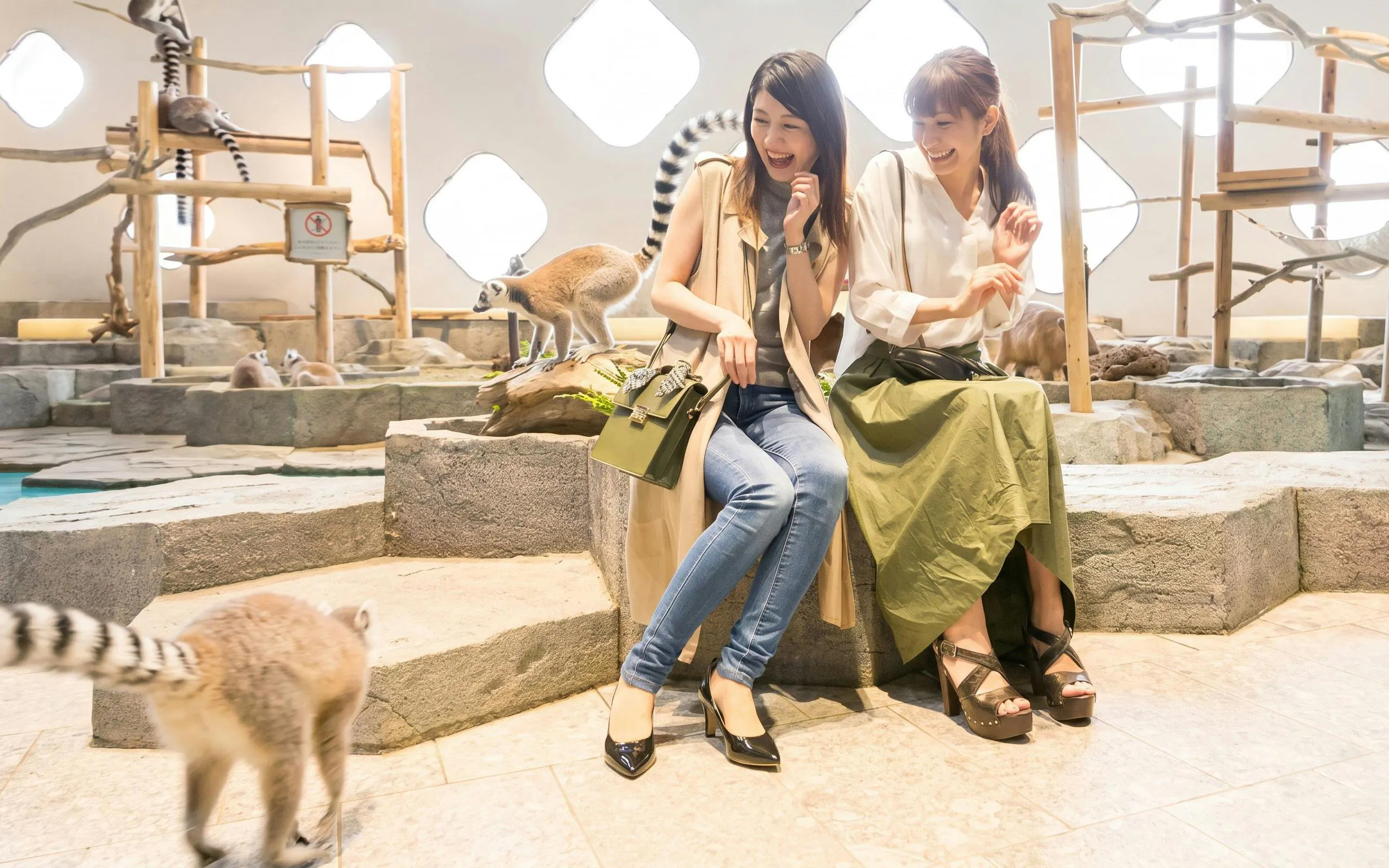 Visitors interacting with lemurs at NIFREL Interactive Aquazoo.