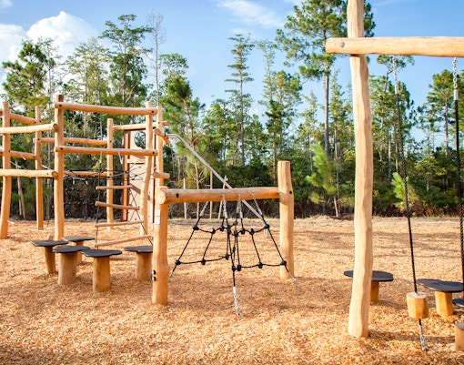 playground and park with swing and climbers