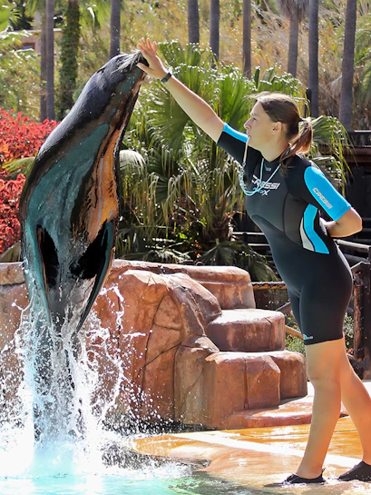 Sealion performing with trainer at Jungle Park Tenerife.