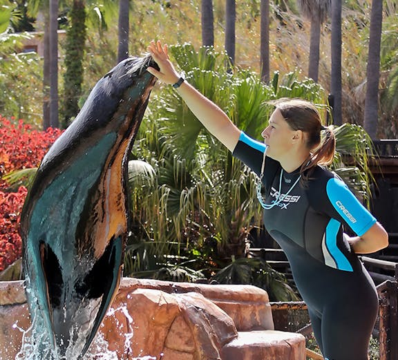Sealion performing with trainer at Jungle Park Tenerife.