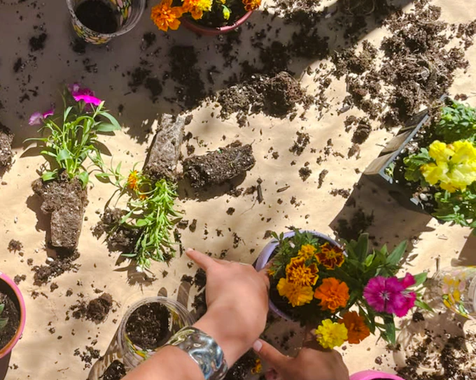 Safi Gardening and Planting Workshop (Product 55179)