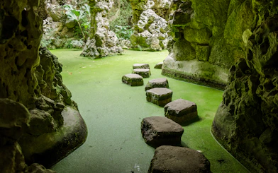 Stepping stones in a moss-covered grotto at Quinta da Regaleira, Sintra, Portugal.