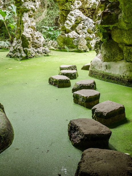Stepping stones in a moss-covered grotto at Quinta da Regaleira, Sintra, Portugal.