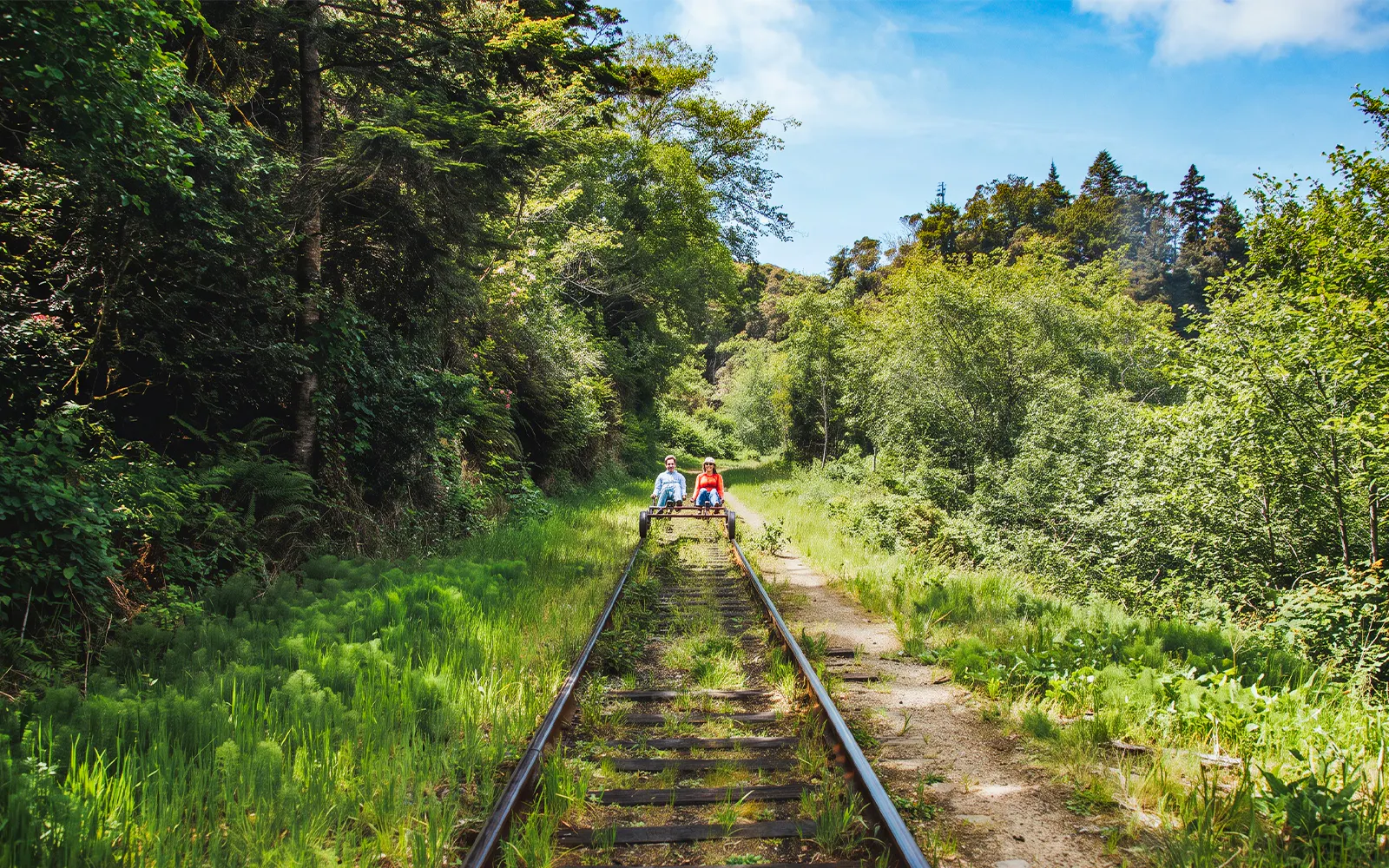 Guests riding rail bikes through lush forest near San Francisco.