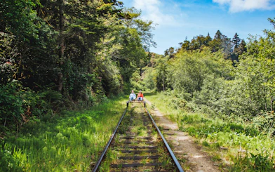 Guests riding rail bikes through lush forest near San Francisco.