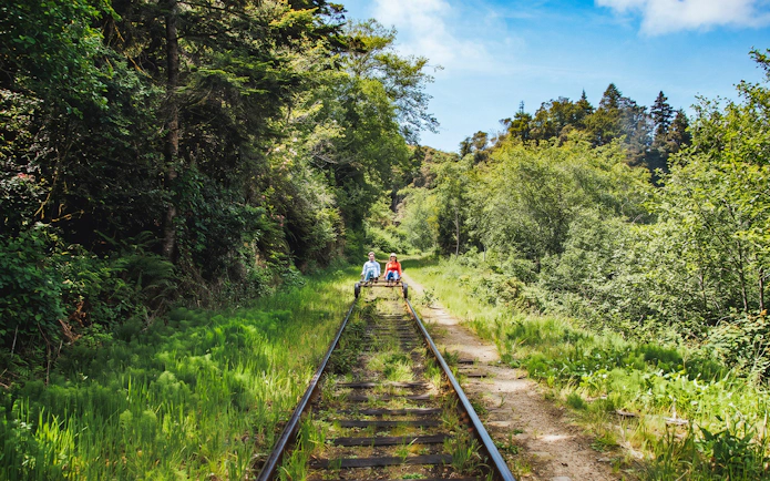 Guests riding rail bikes through lush forest near San Francisco.