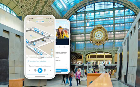 paquete: entradas combinadas para el museo de orsay y el museo de la orangerie con audioguía del orsay-1