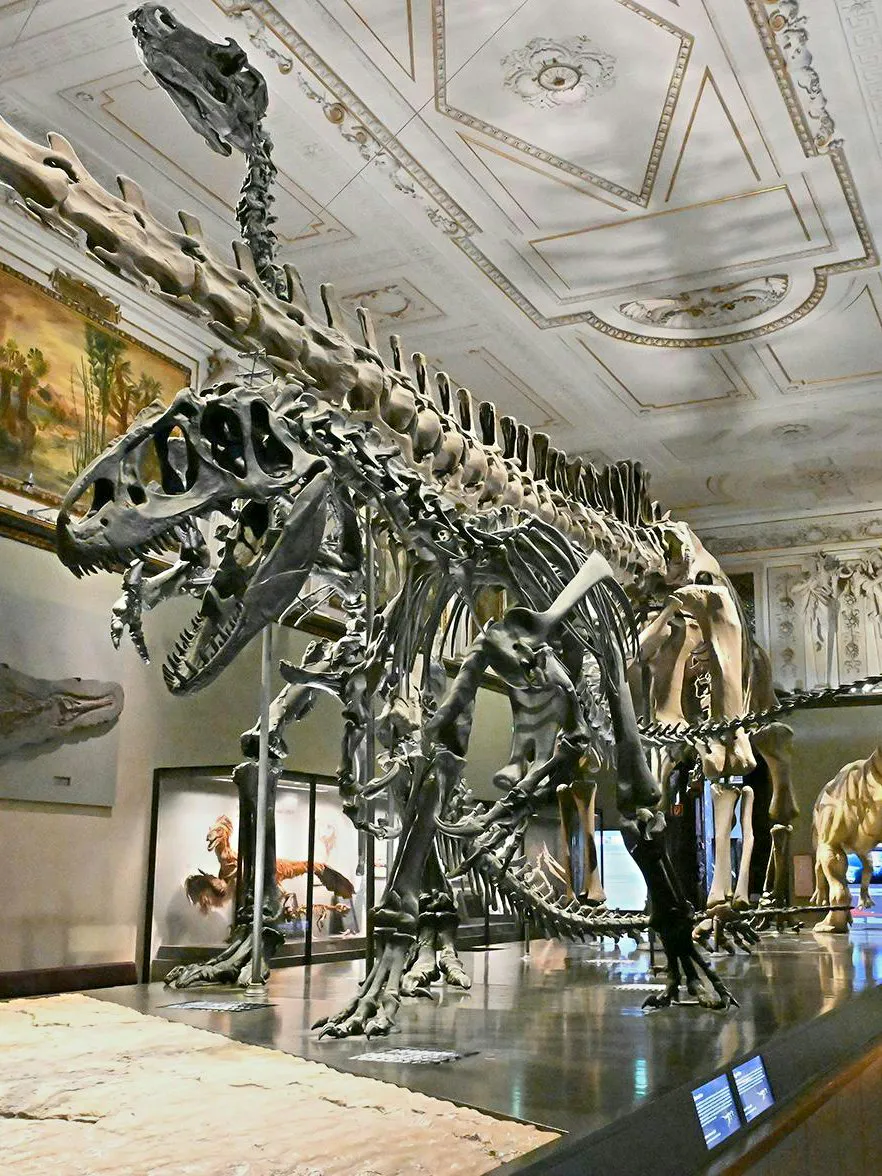 Dinosaur skeletons in Natural History Museum Vienna exhibit hall.