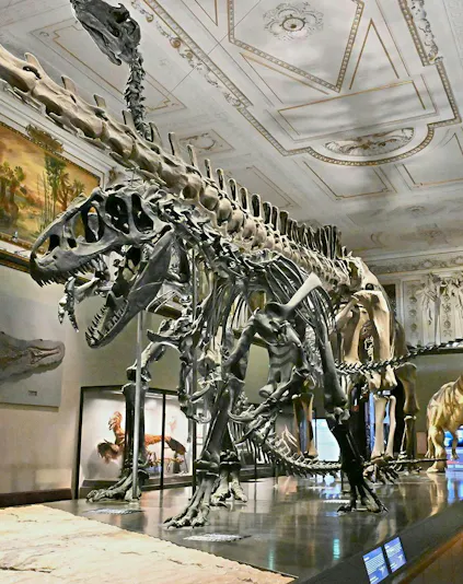 Dinosaur skeletons in Natural History Museum Vienna exhibit hall.