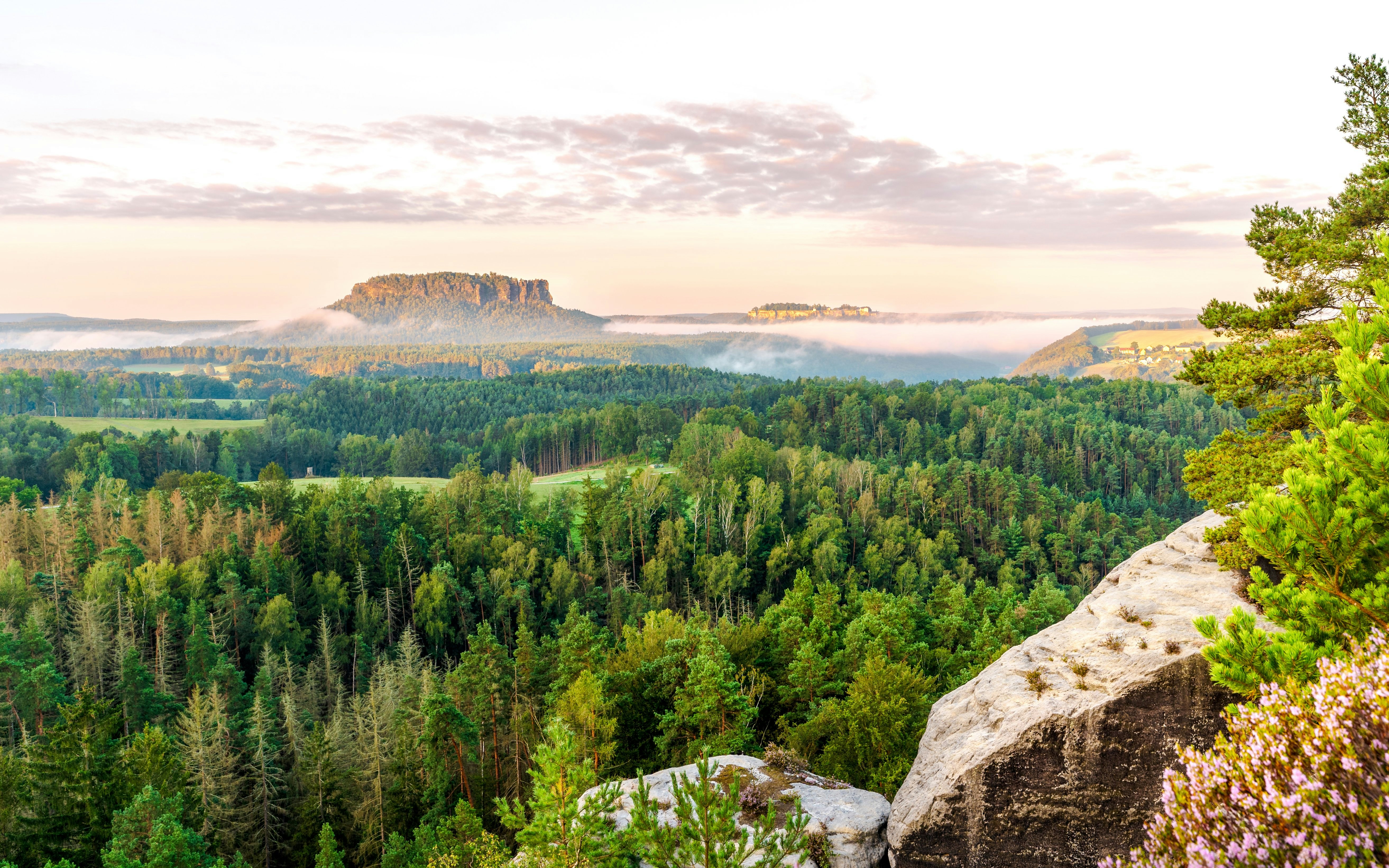 Lilienstein mountain view in Saxon Switzerland with forest and misty horizon.