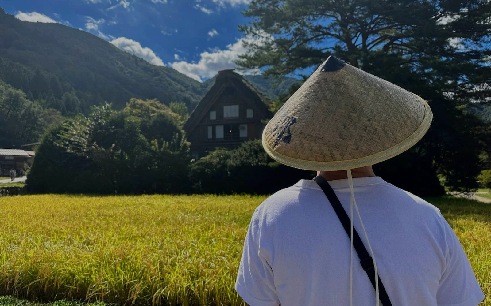 Person in traditional hat viewing Shirakawa-go farmhouse and rice field on Kanazawa day tour.