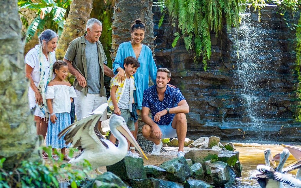 Family observing pelicans at Bali Bird Park with waterfall backdrop.
