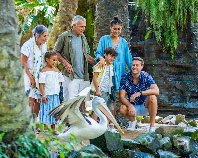 Bali Bird Park Entry Tickets + Lunch with Bird Stars