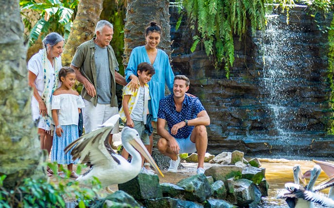 Family observing pelicans at Bali Bird Park with waterfall backdrop.