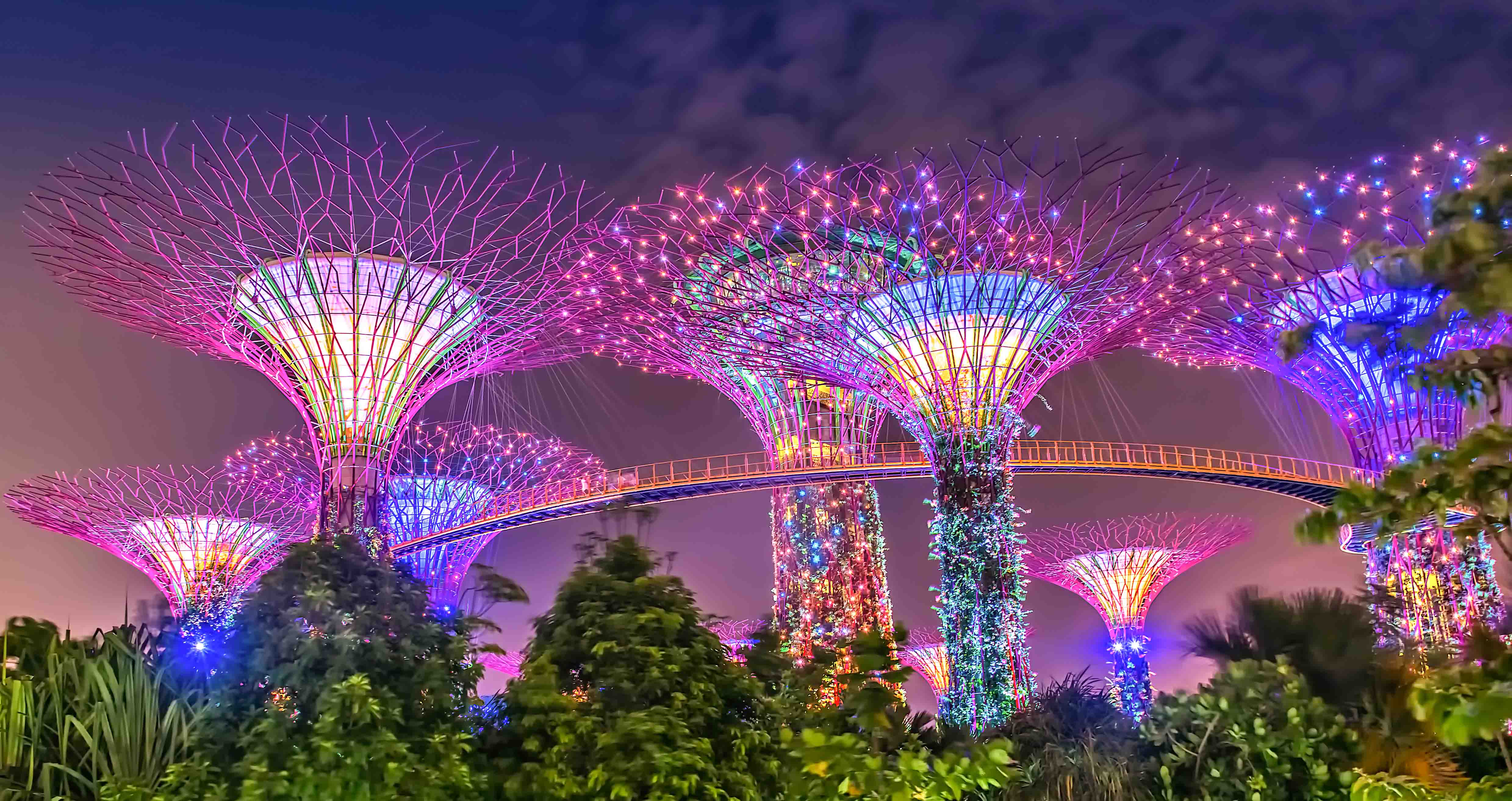 Garden By The Bay Showtime