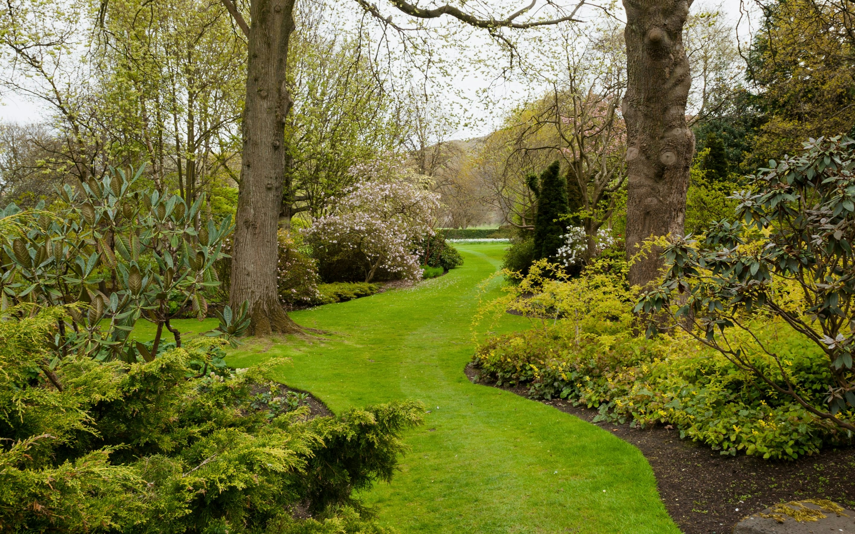 Pathway through lush greenery in Holyrood Park, Edinburgh.