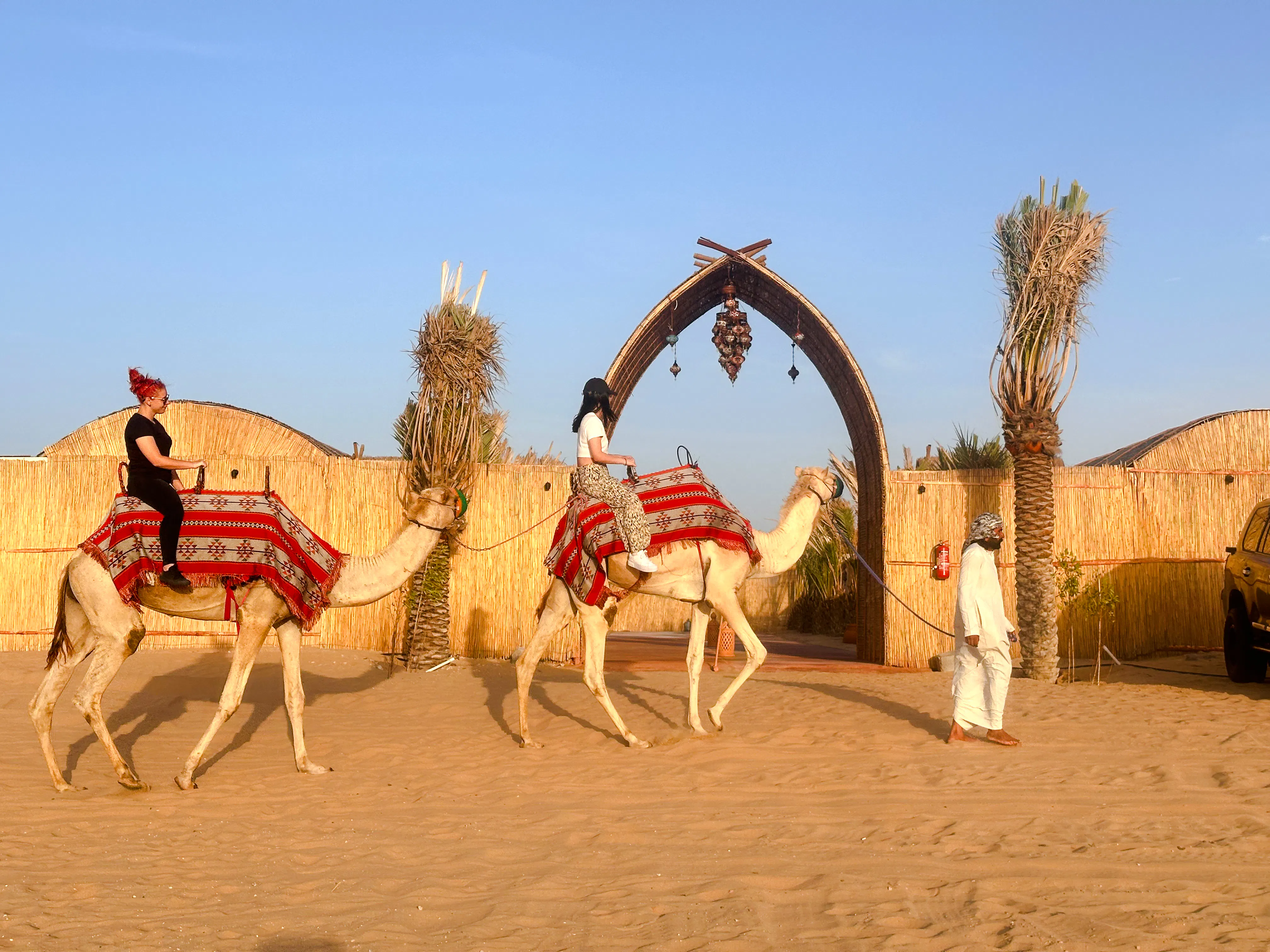 Camel ride experience during Abu Dhabi morning desert safari.