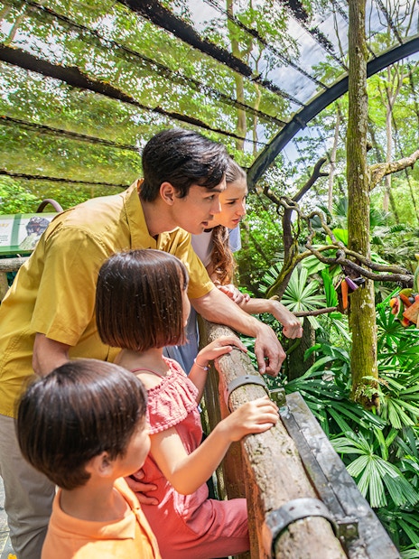 Family observing a sloth eating fruit at Singapore Zoo.