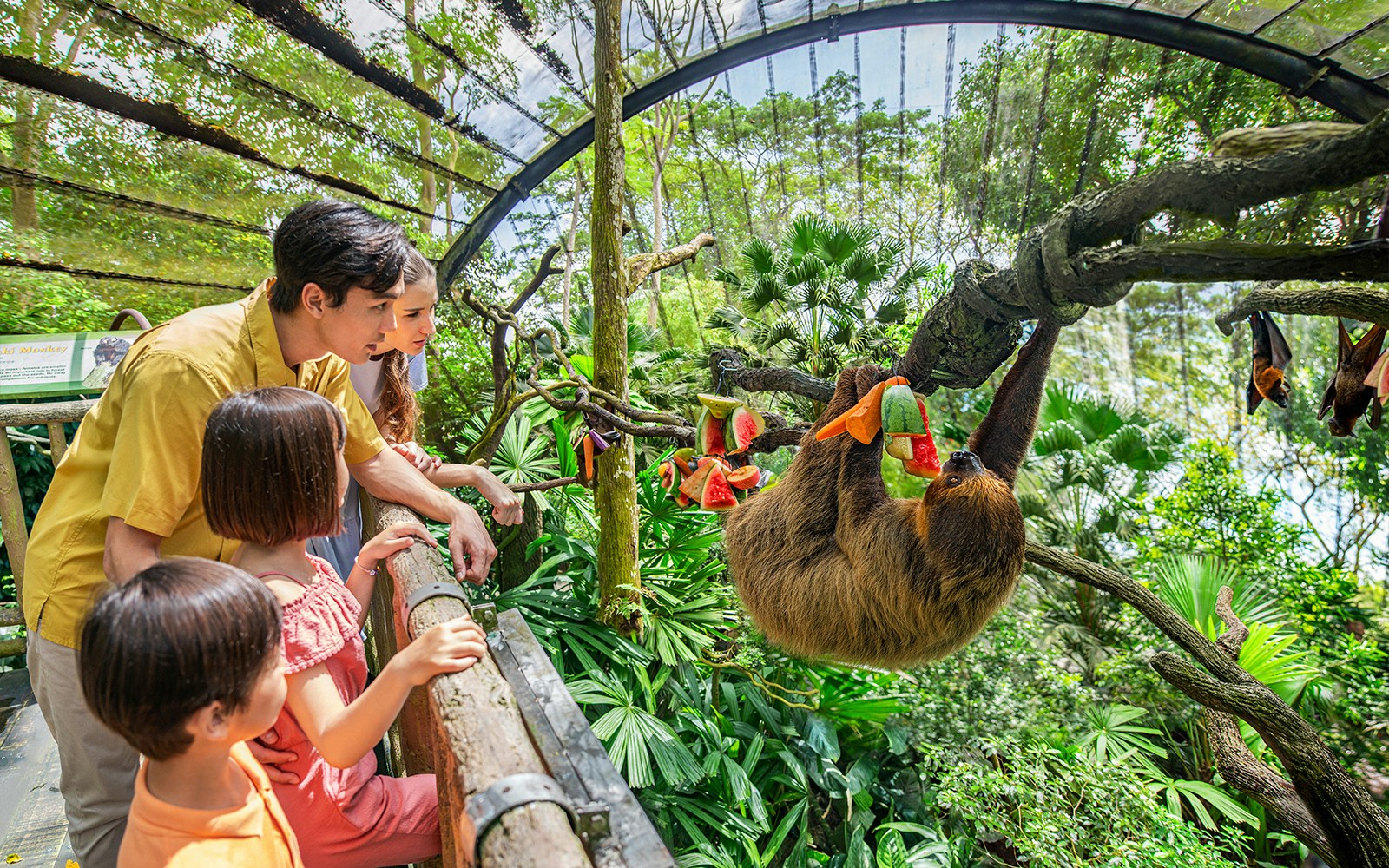 Family observing a sloth eating fruit at Singapore Zoo.