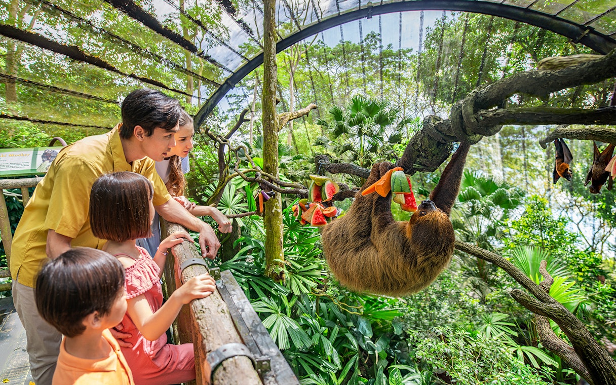 Family observing a sloth eating fruit at Singapore Zoo.