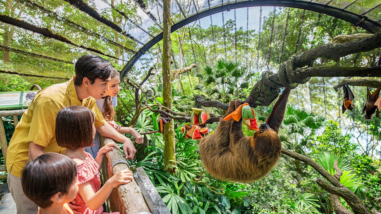 Family observing a sloth eating fruit at Singapore Zoo.