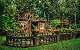 paronella park cassowary coast guided day and night tour-6