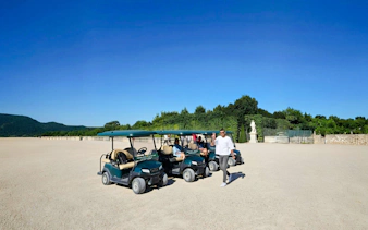Golf carts parked in Versailles Gardens during guided tour.