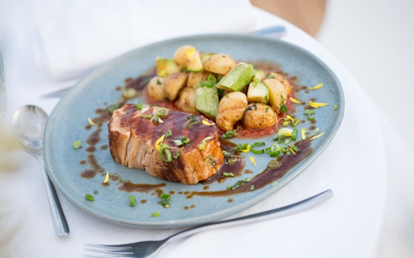 Seared meat with sauce and vegetables on a plate, served on Le Diamant Bleu Seine River cruise.