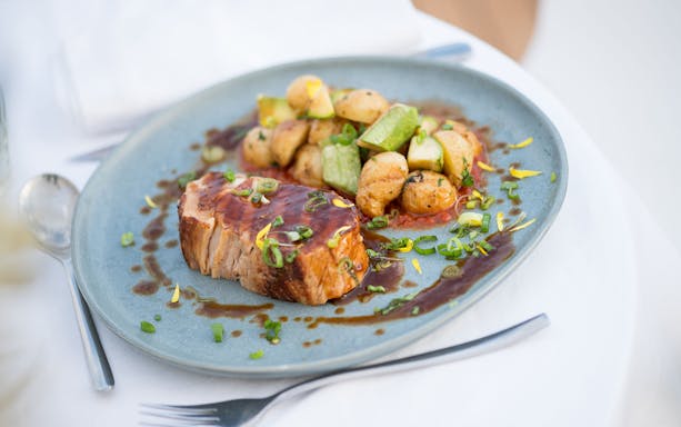 Seared meat with sauce and vegetables on a plate, served on Le Diamant Bleu Seine River cruise.