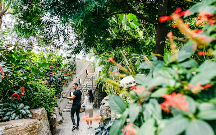 Visitors walking through lush greenery at Niagara Falls Butterfly Conservatory, Canada.