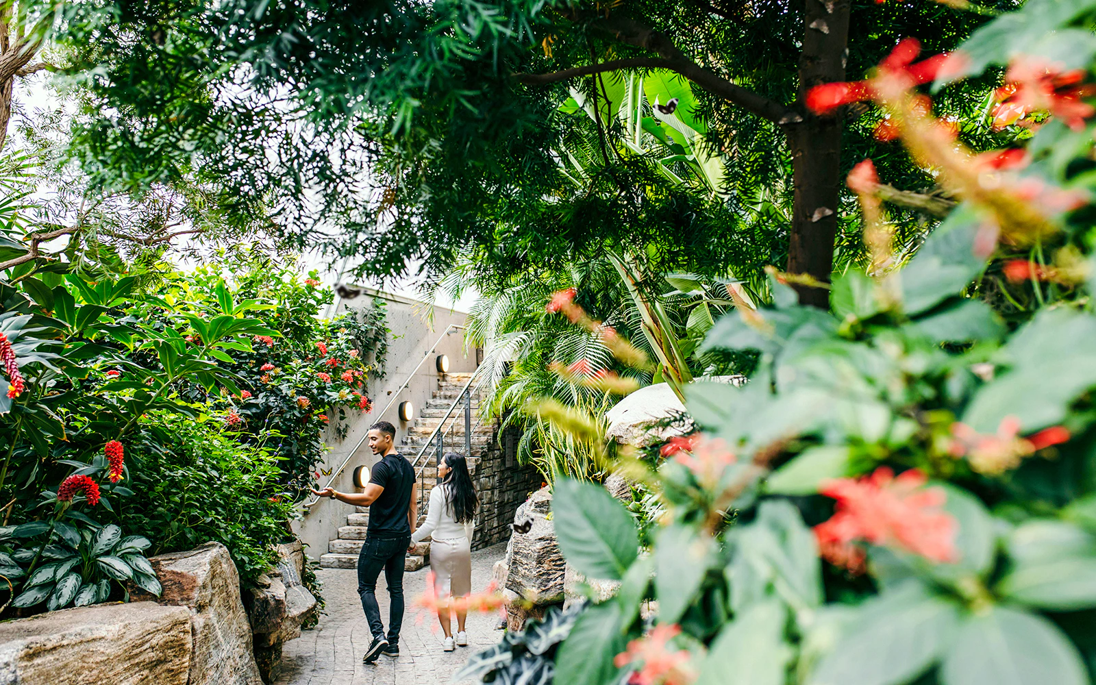 Visitors walking through lush greenery at Niagara Falls Butterfly Conservatory, Canada.