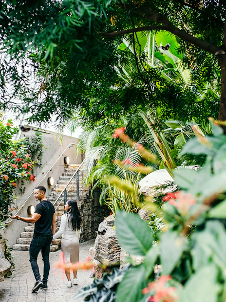 Visitors walking through lush greenery at Niagara Falls Butterfly Conservatory, Canada.