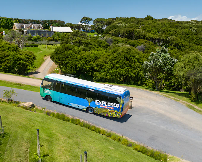 Western Explorer: Waiheke Island Hop-on Hop-off Bus Tour with Optional Ferry Transfers