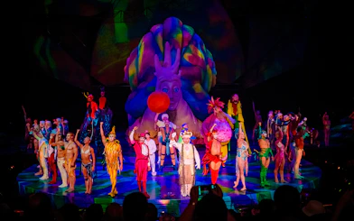 Performers in colorful costumes on stage during Mystère show in Las Vegas.