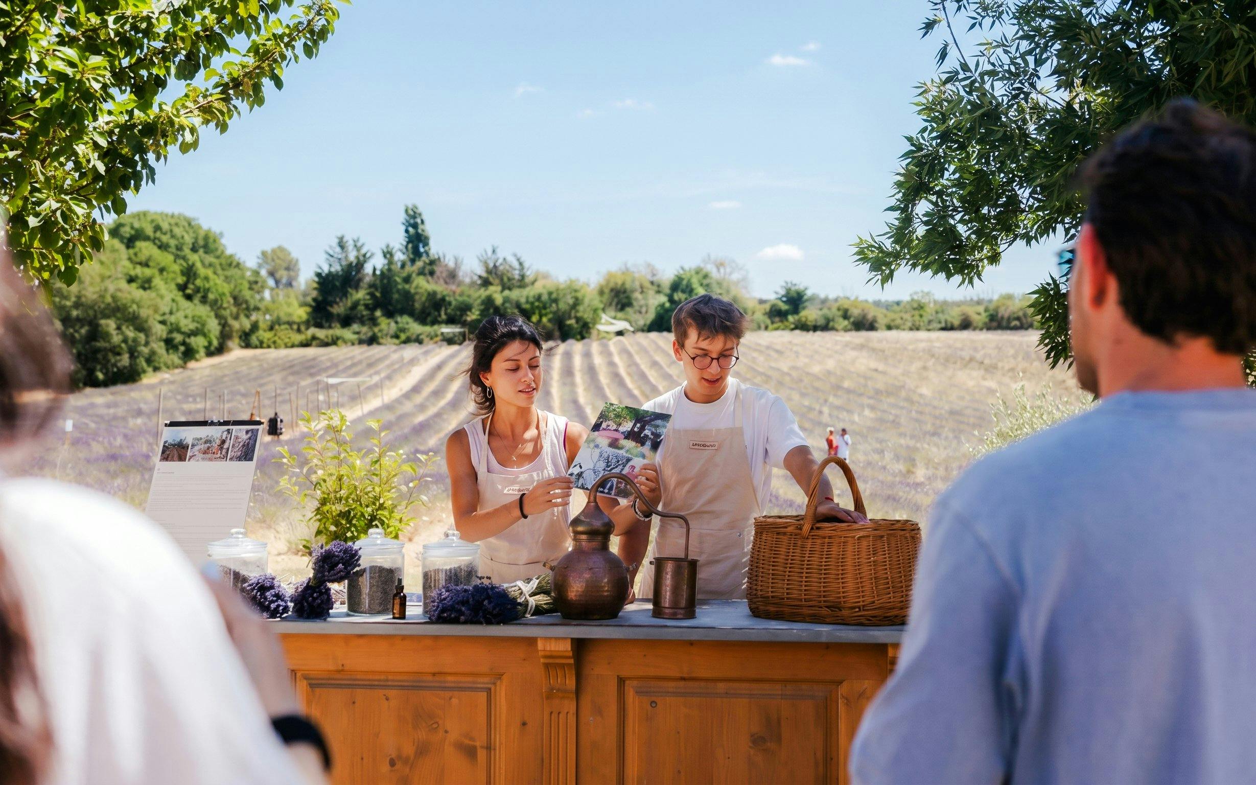 Tour guides demonstrating lavender distillation at Terre Ugo, Provence.