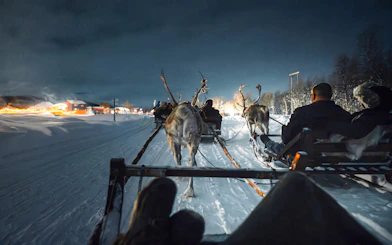 Reindeer sled ride under the Northern Lights in Tromso, Norway.