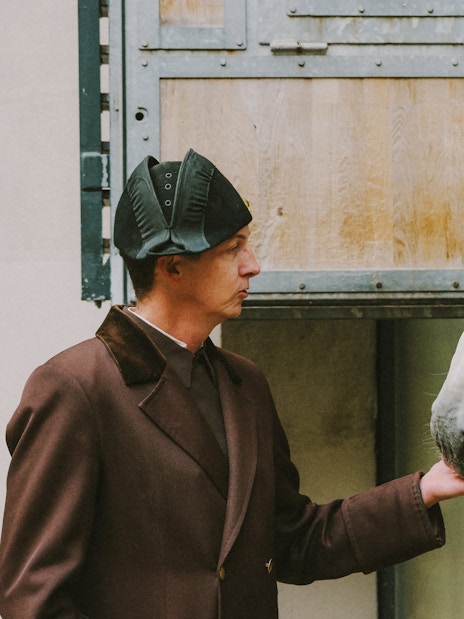 Horses being fed at the stables, Spanish Riding School, Vienna.