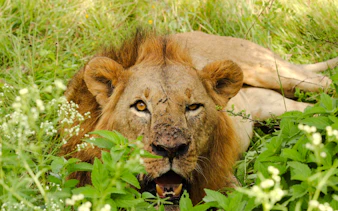 3-day tsavo east national park safari from mombasa-1