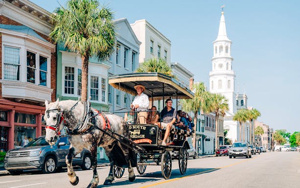 Charleston horse-drawn carriage tour passing historic buildings and palm trees.