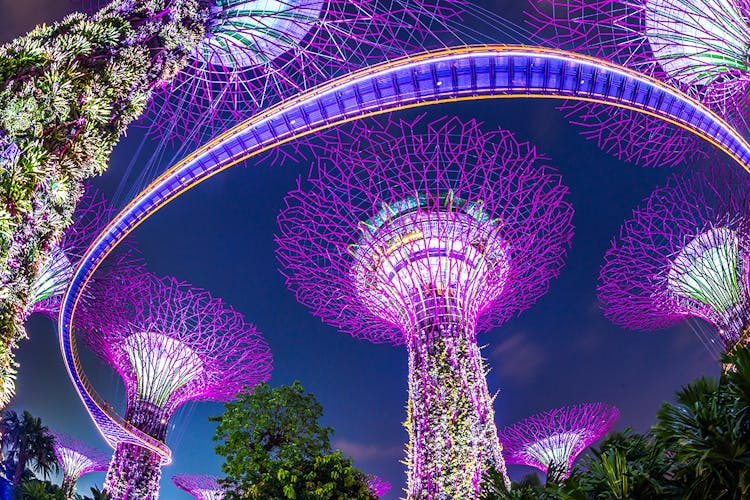 Gardens by the Bay Supertree Grove in Singapore with illuminated tree-like structures