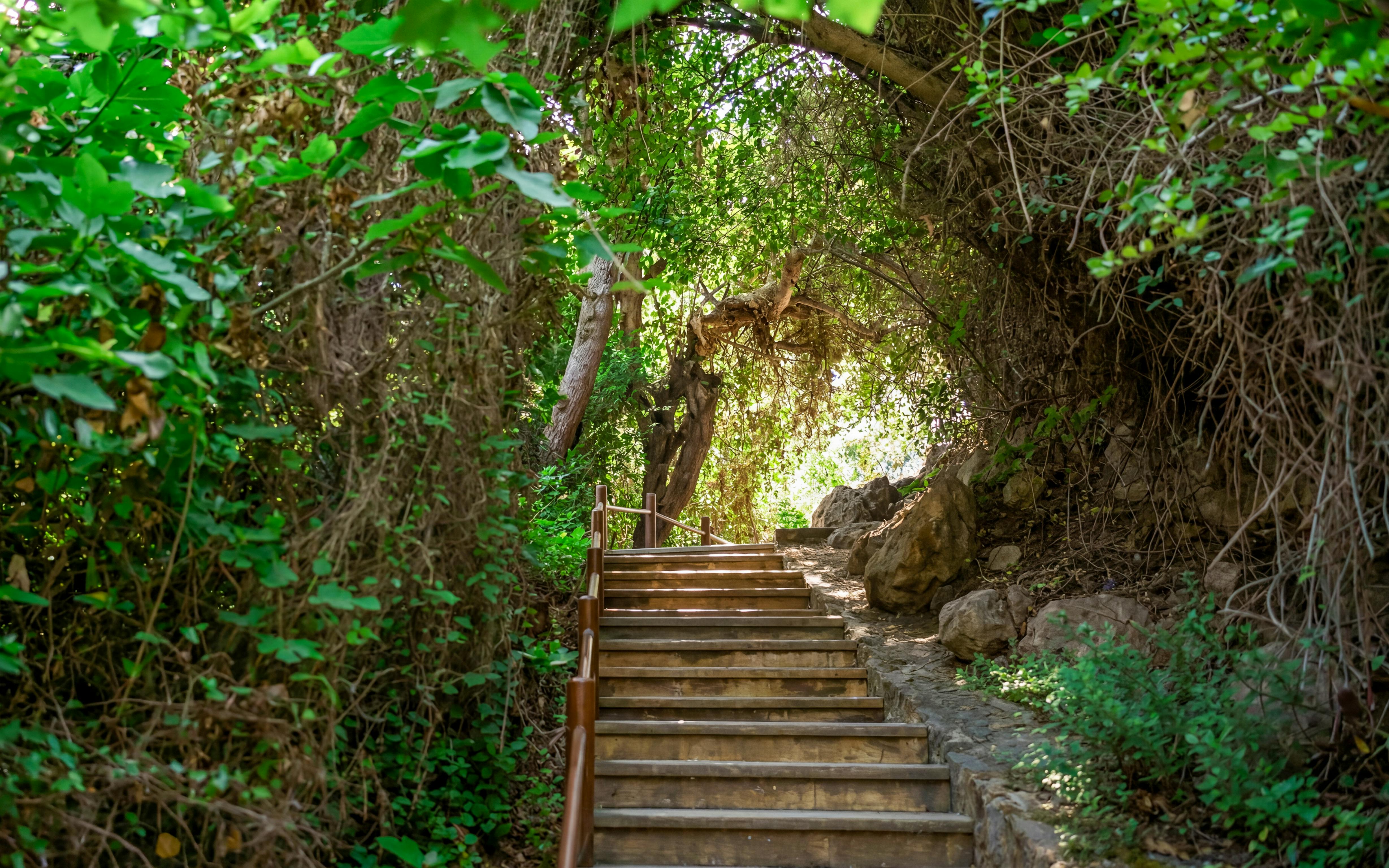 ab paphos: tour zur blauen lagune, nach akamas und zu den bädern der aphrodite-4
