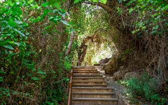 fra paphos: tur til blue lagoon, akamas og afrodites bad-4