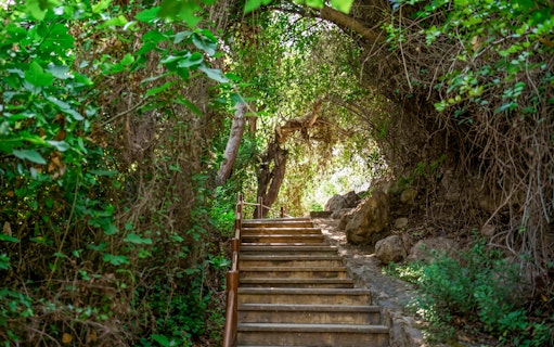 ab paphos: tour zur blauen lagune, nach akamas und zu den bädern der aphrodite-4