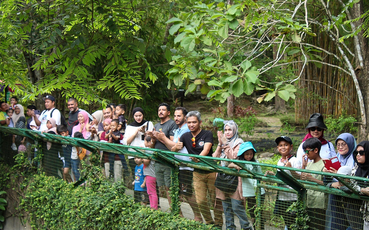 Visitors observing crocodiles at Crocodile Adventureland Langkawi.