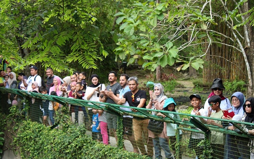 Visitors observing crocodiles at Crocodile Adventureland Langkawi.