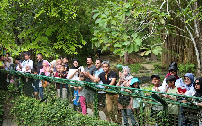 Visitors observing crocodiles at Crocodile Adventureland Langkawi.